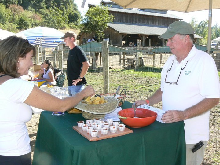 David Layland's album, Napa Valley Tomato Festival