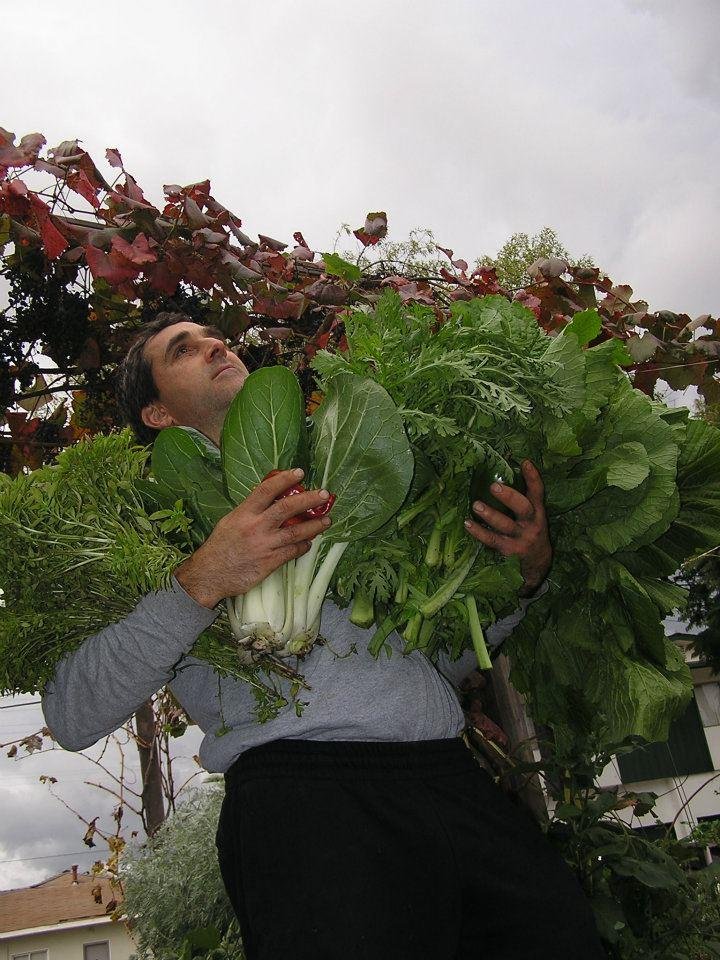 Mark Haprov's album, Veggies