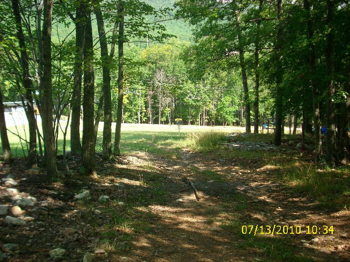 Michael Smith's album, disc golf on massanutten mt.
