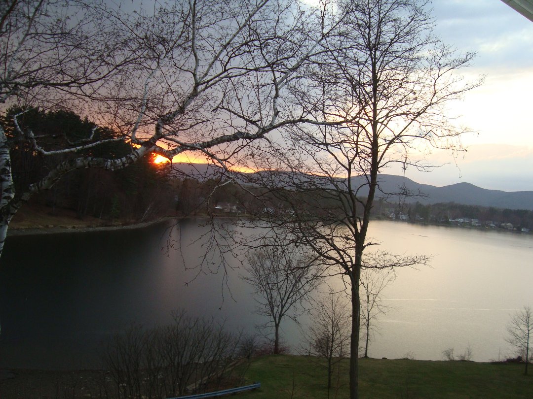 Sandra Wilson's album, Cover Photos