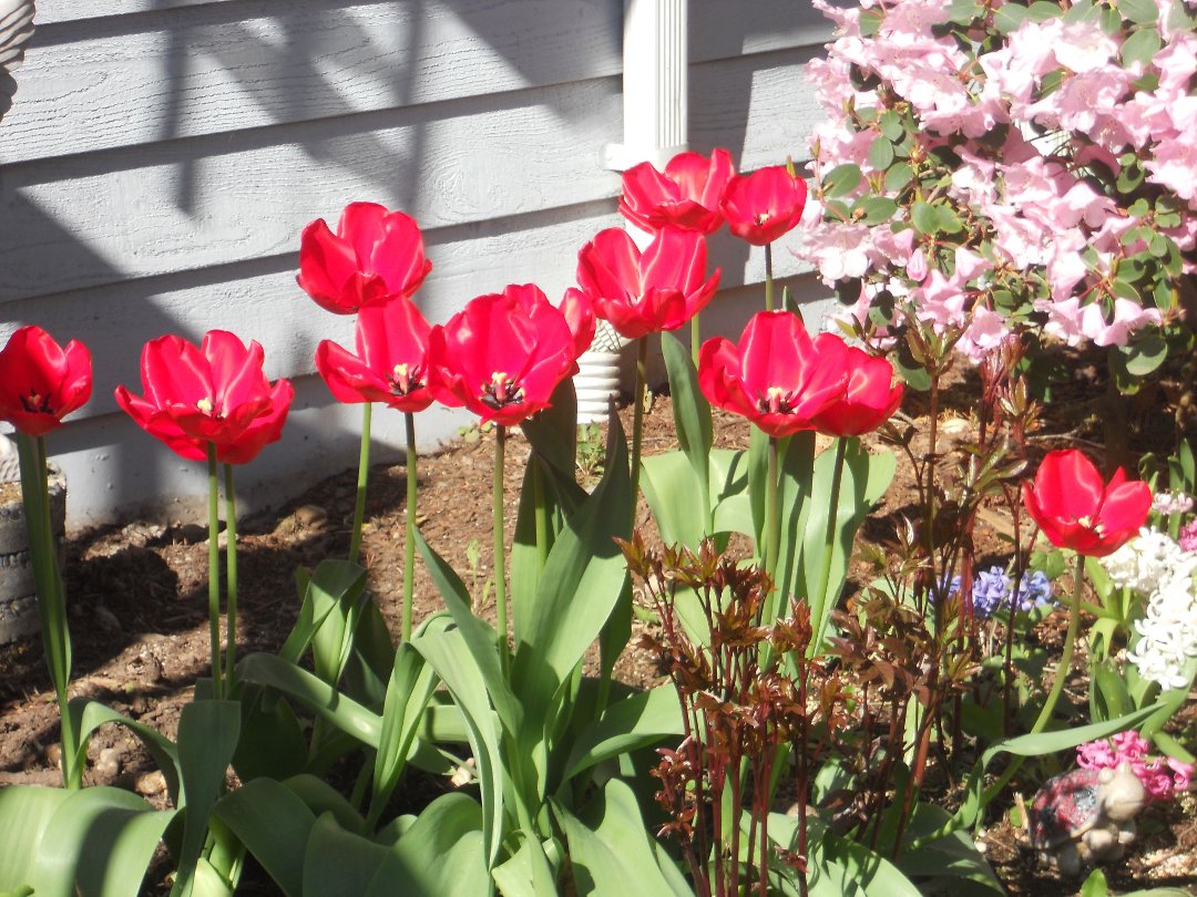 Therese Morehead's album, Timeline Photos