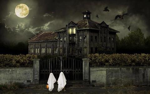 Robin Rice's album, Cover Photos