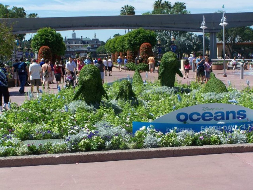 Peter Ticknor's album, Flower show at Epcot