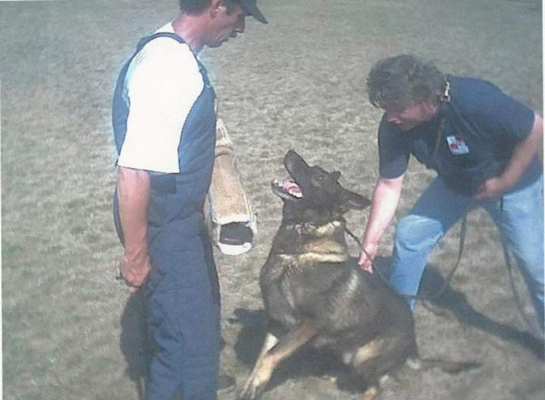 Ray Blomberg's album, Working Dogs