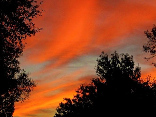 James White's album, Timeline Photos