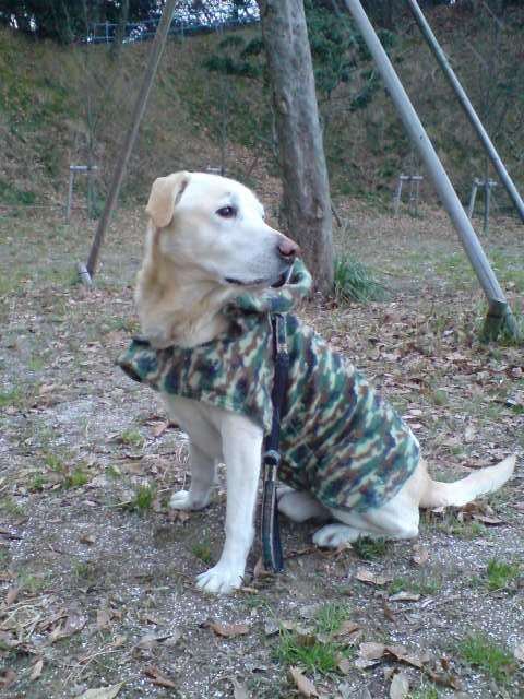 Pat Patterson's album, Timeline Photos