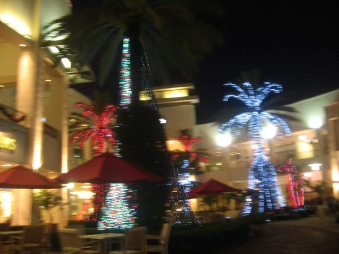 Bret Roberts' album, X-Mas time in Palm Beach Gardens 09'