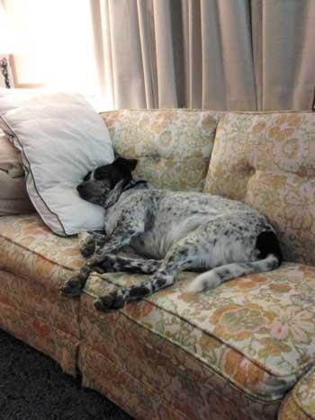 Cecil Bearden's album, Timeline Photos