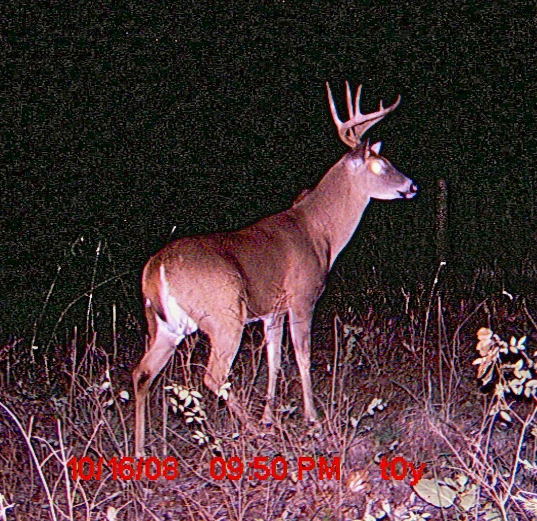 Bill Orr's album, Profile Pictures