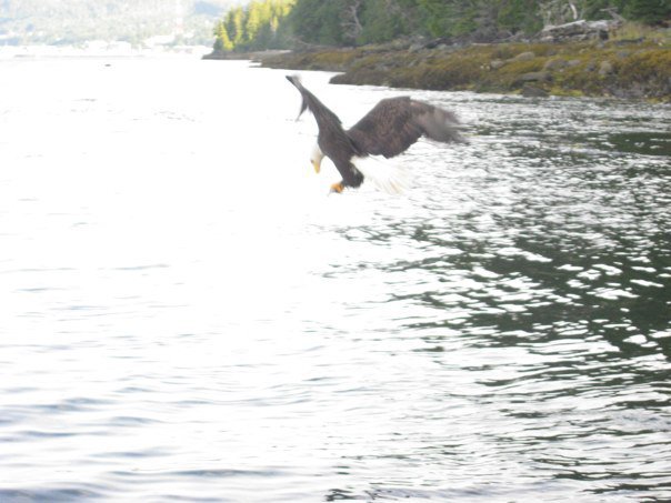 Lisa Bureau's album, alaska cruise