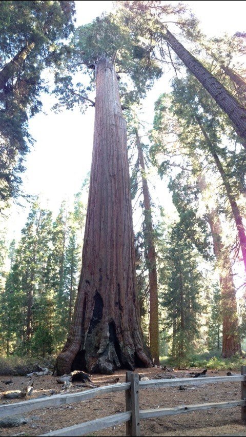 Don Conrad's album, iOS Photos