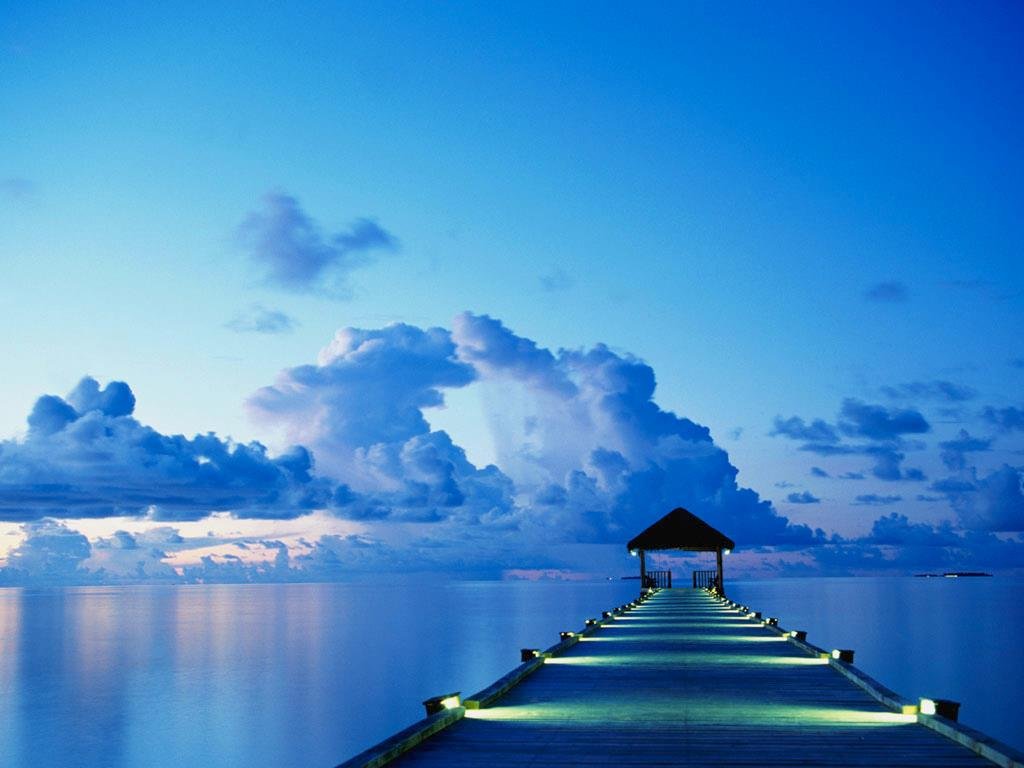 Sandra Bechtel's album, Cover Photos
