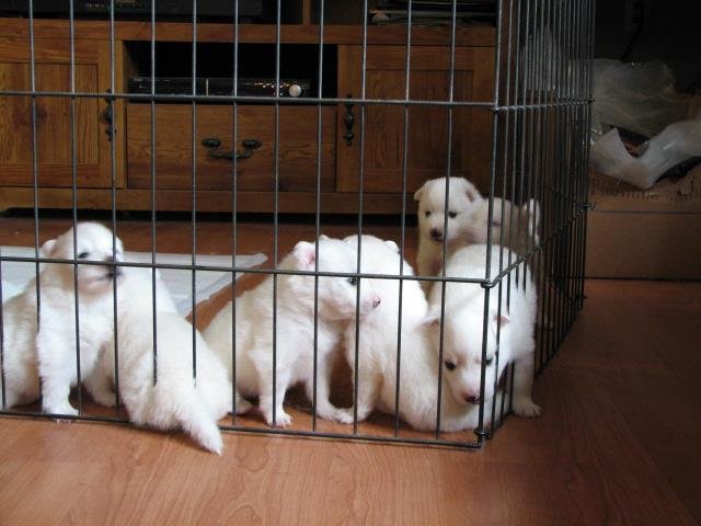 Joanne Paehlig's album, Timeline Photos