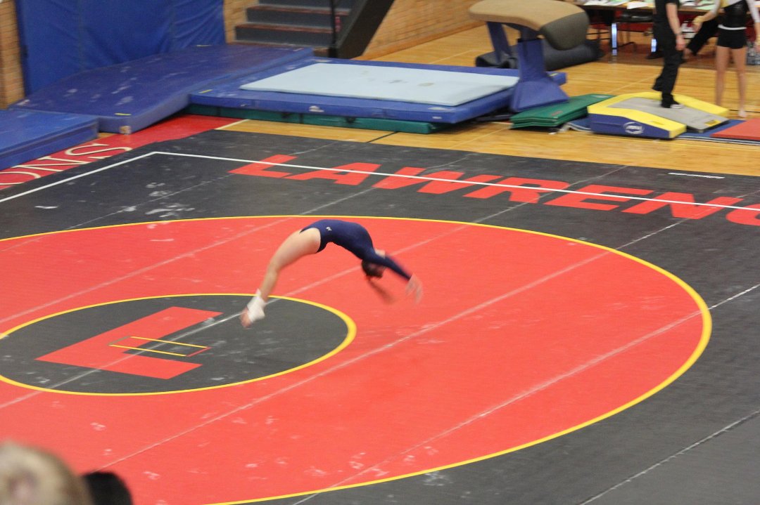 Mike Mann's album, State Gymnastics