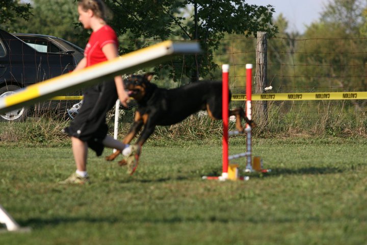 Heather Cotterman's album, In Memory of Woody "Buckeye's Bounding Glory
