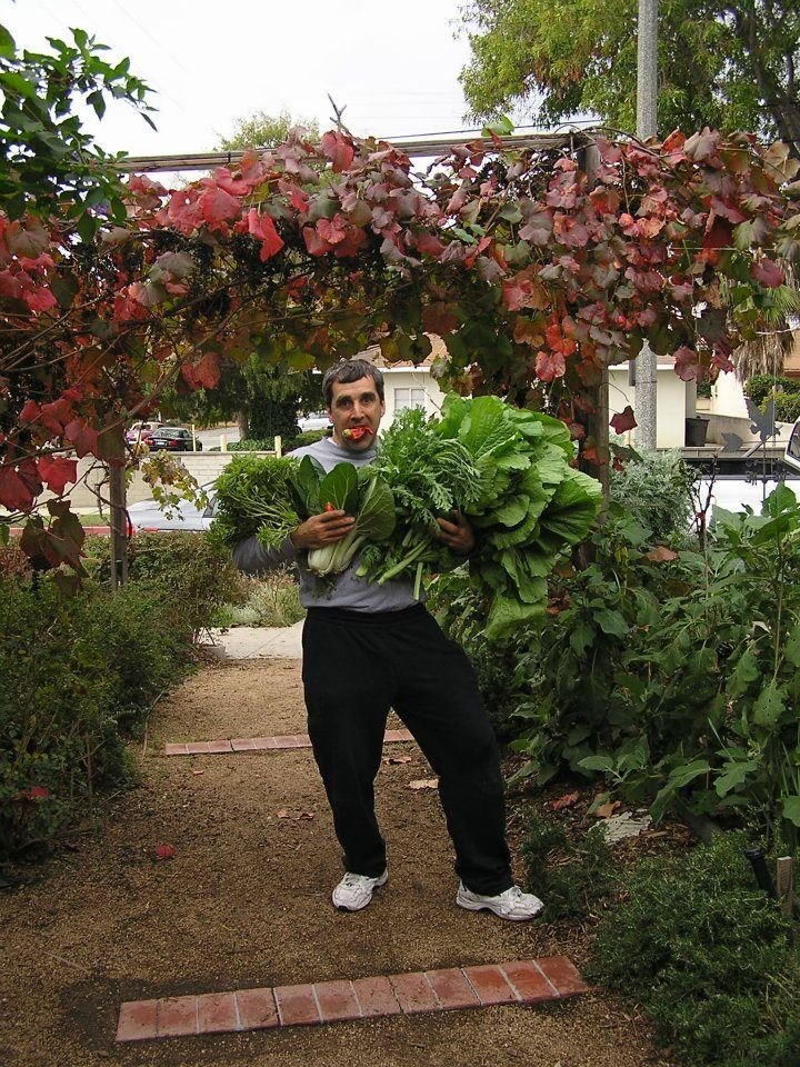 Mark Haprov's album, Veggies
