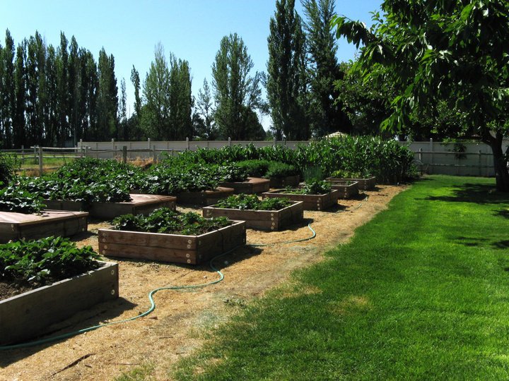 William Englar's album, My Victory Garden - Remembering The 1940's
