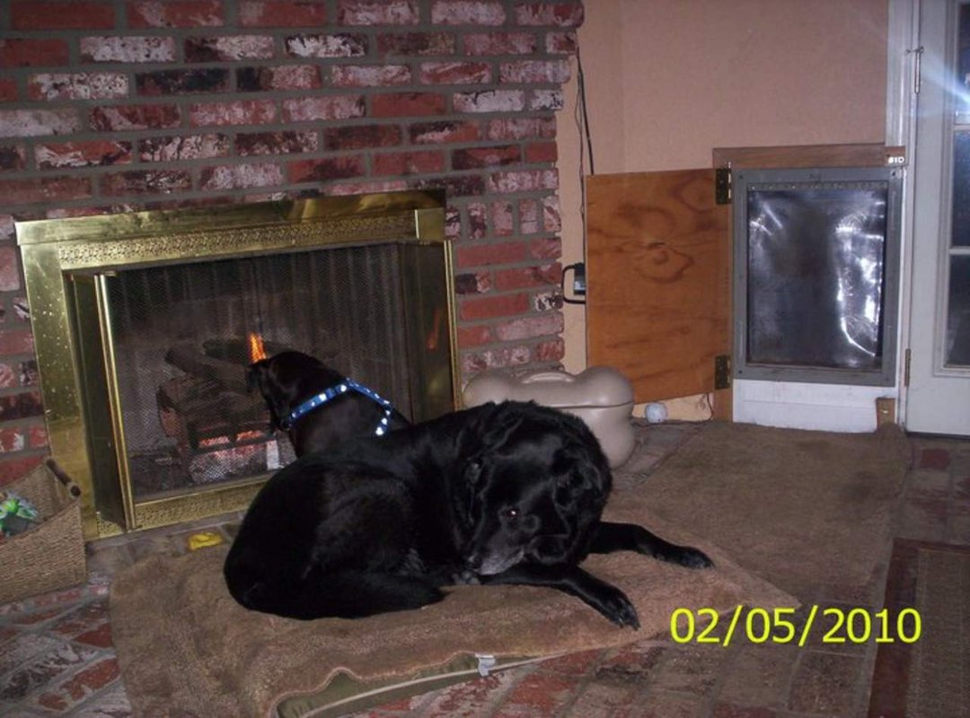 Warde Miller's album, Profile Pictures