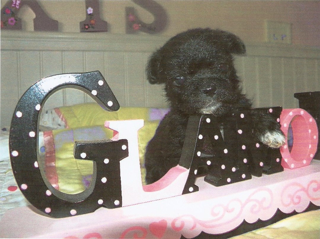 Sue Harrison's album, Cover Photos