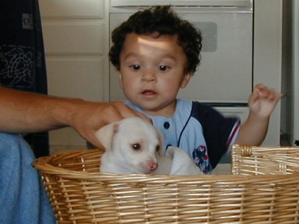 Annette Hignight's album, Grandson Angel Baby