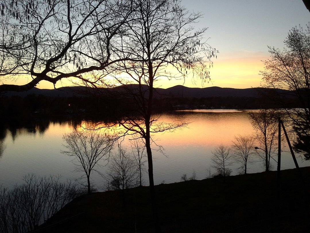 Sandra Wilson's album, Cover Photos