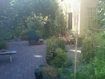 Cathy Judd's album, August 2, 2011