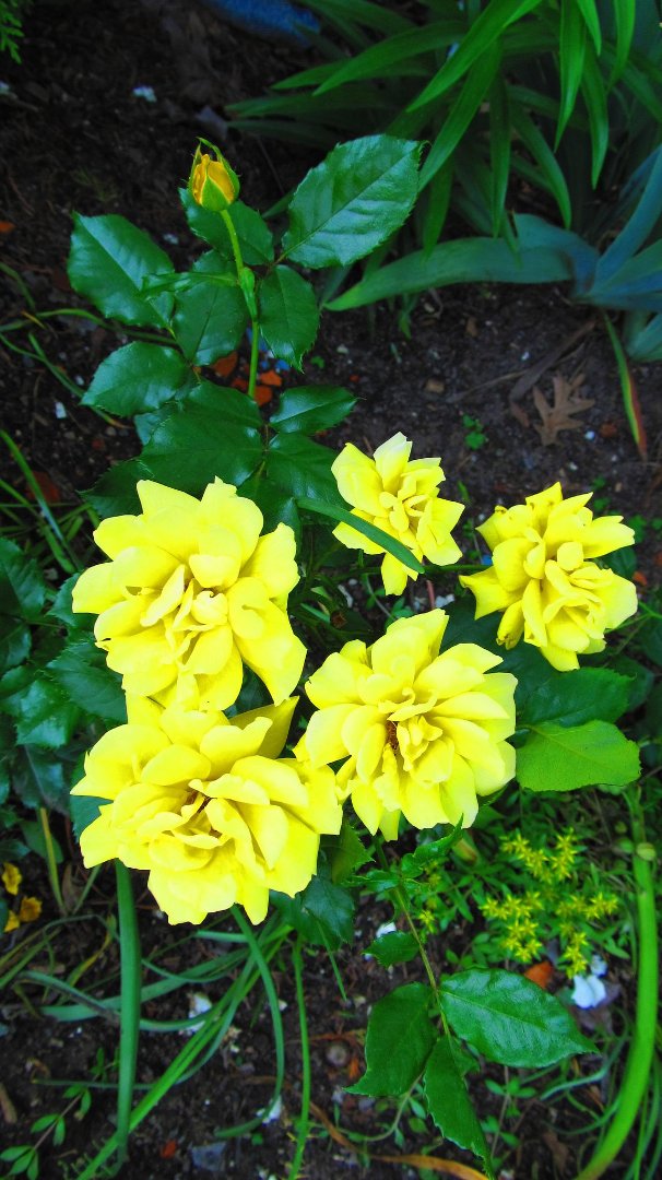 Sue Borders' album, Timeline Photos