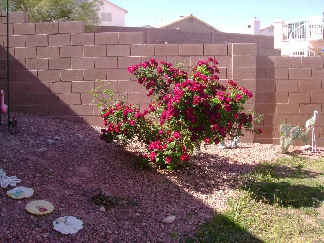 Beverly Lumm's album, Timeline Photos
