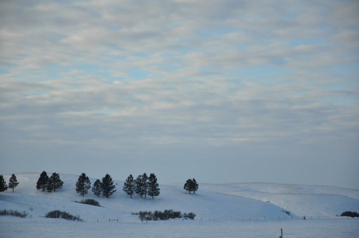 Edward Asbert's album, Cananda trip January , 2011