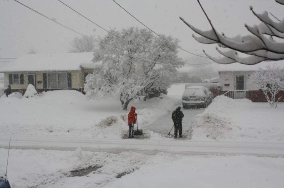 Brandy Krediet's album, The never ending winter