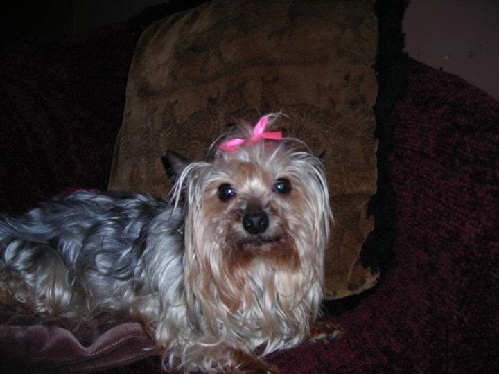Connie Countryman's album, Sophie's 1st day home