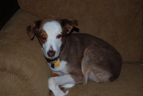 Robert Large's album, Family