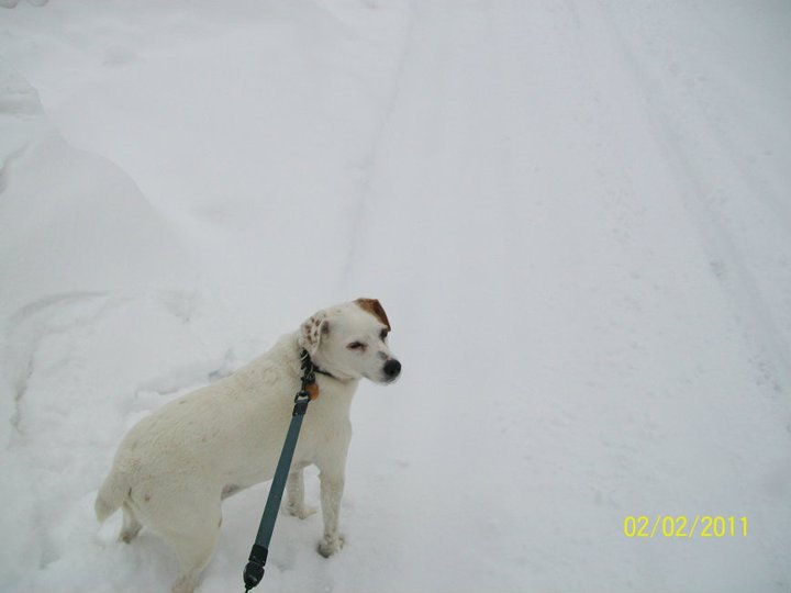Michael McKellar's album, February 2, 2011