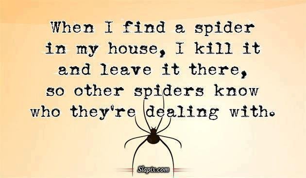 Angie Allen's album, Timeline Photos