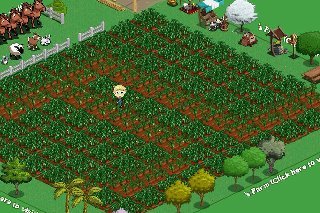 joel laster's album, FarmVille Photos