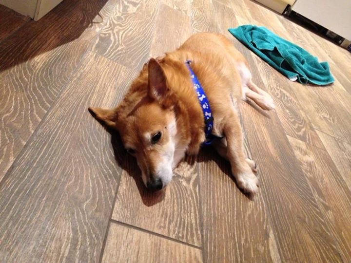 Sandra Ruther's album, iOS Photos