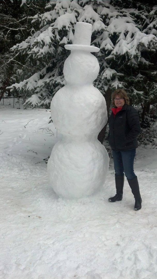Trish Harris' album, Mobile Uploads