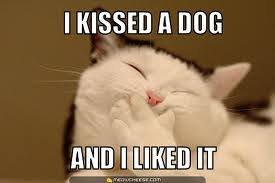 Patchie Poochie's album, Timeline Photos