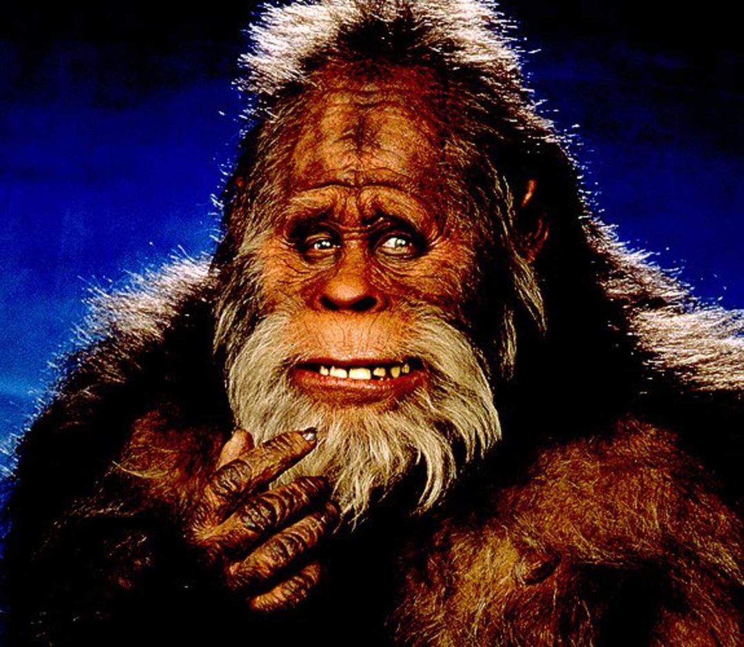 Keith Knight's album, Profile Pictures