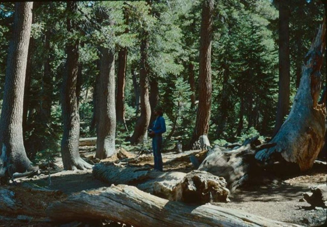 Daryl Strandlien's album, Backpacking