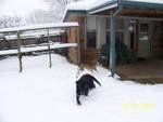 Julie Hicks' album, Texas Snow Feb 2010