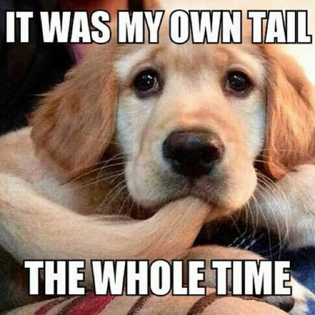 Mike Singleton's album, Timeline Photos