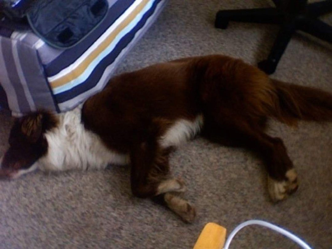Christopher Olin's album, Facebook Exporter for iPhoto Photos
