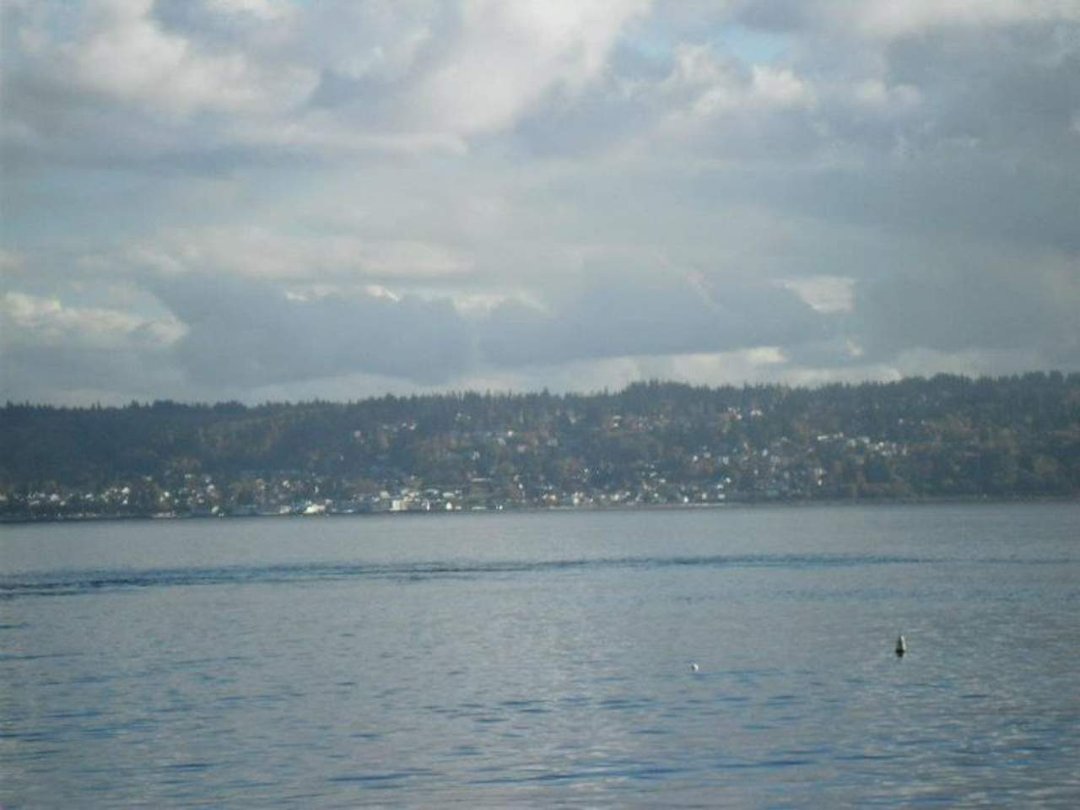 Fred Plappert's album, November 15, 2011