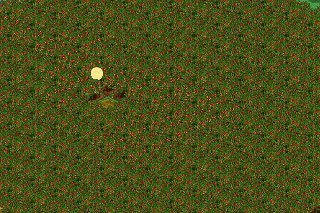 joel laster's album, FarmVille Photos