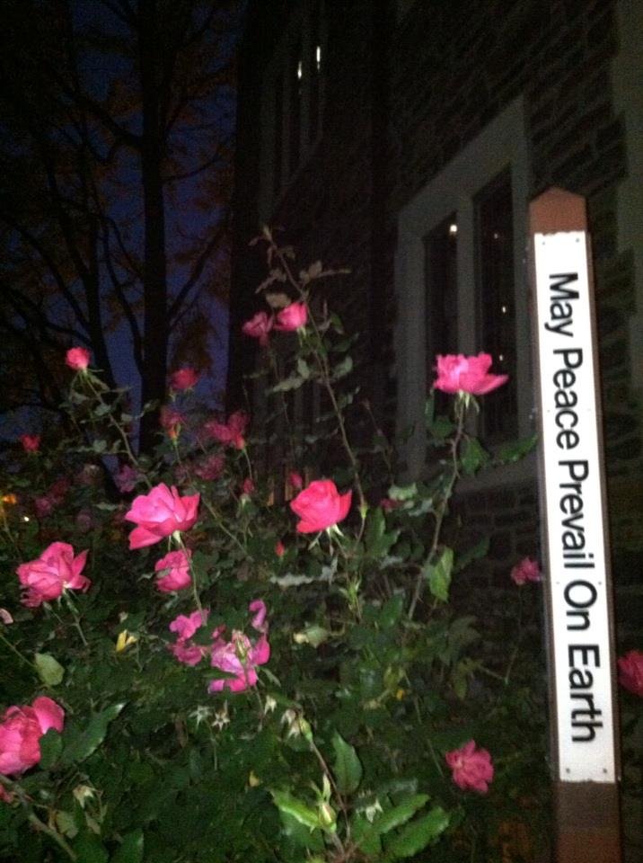 cheryl hoskinson's album, iOS Photos