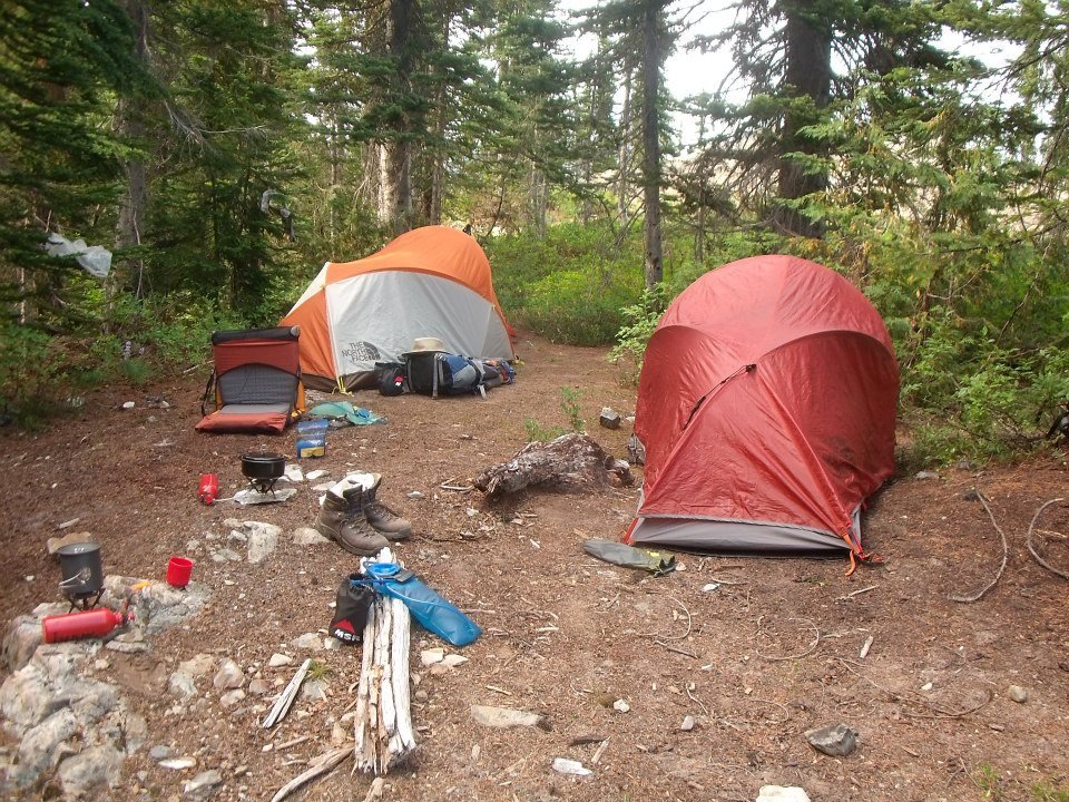 Roger Ditto's album, Trek 2012.