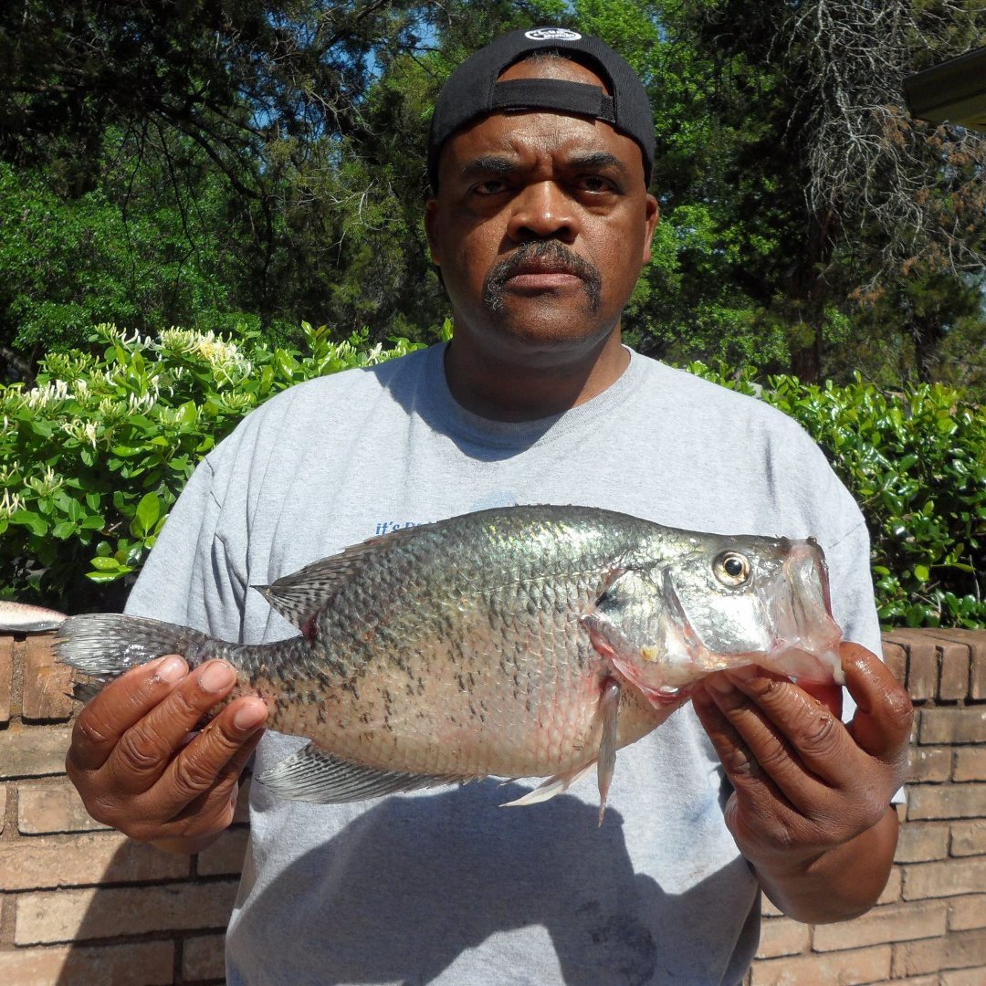 MT Pleasant Baptist Church's album, Profile Pictures