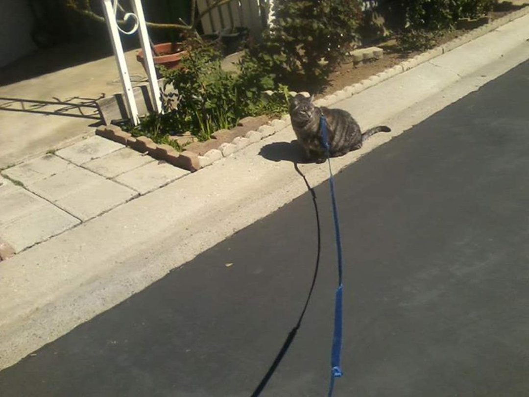 Jan Brady's album, Timeline Photos