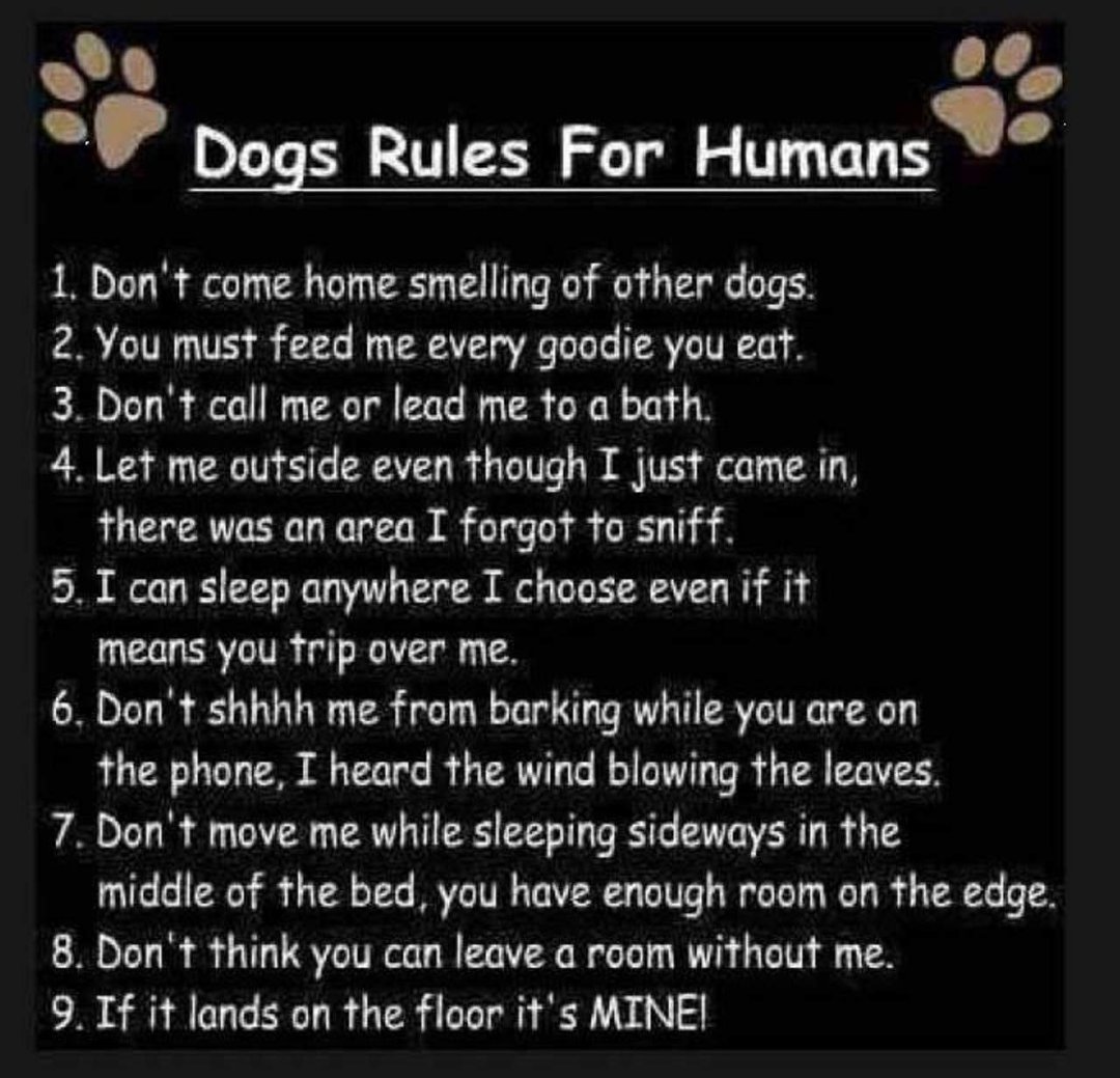Stephanie Cavin's album, Timeline Photos